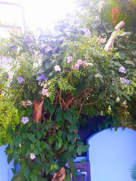 Pousada Los Casarones Florianopolis Bagian luar foto